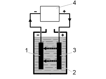 B3100114