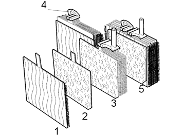 B3100116