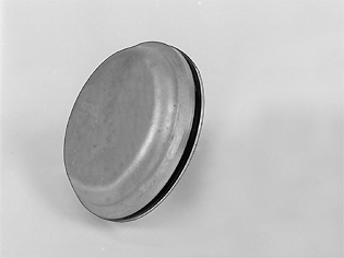 S4302916