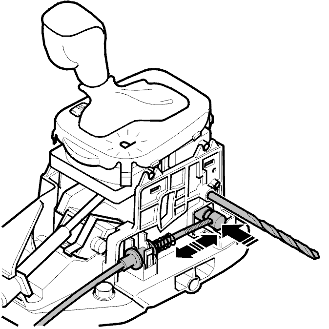 D4301917