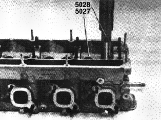 S117817