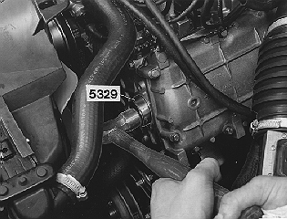 S142875