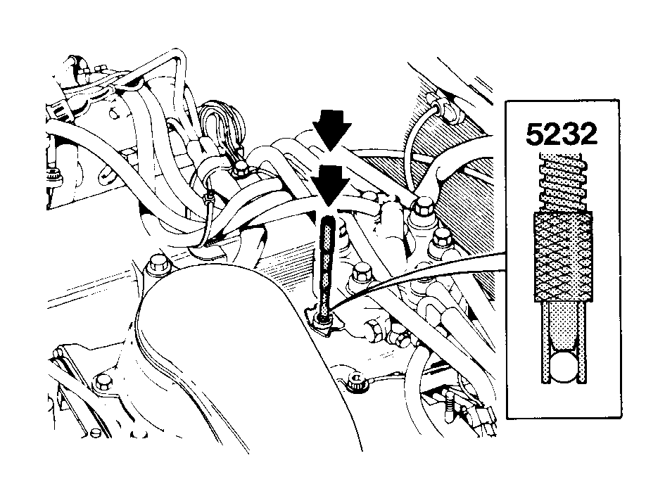 S143295