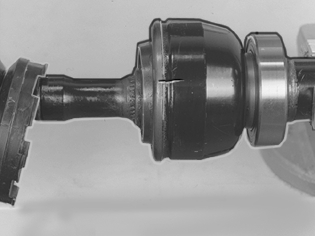 S4301797