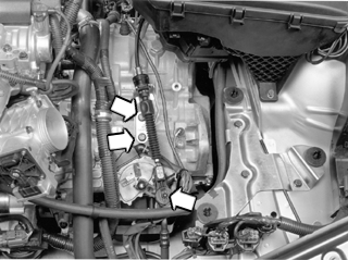 S4302739