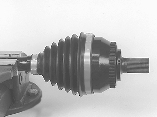 S4600198