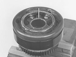 S4600202