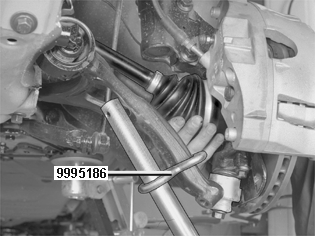 S4600455