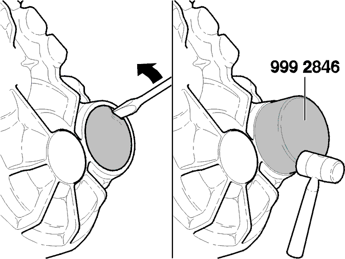 H4301644