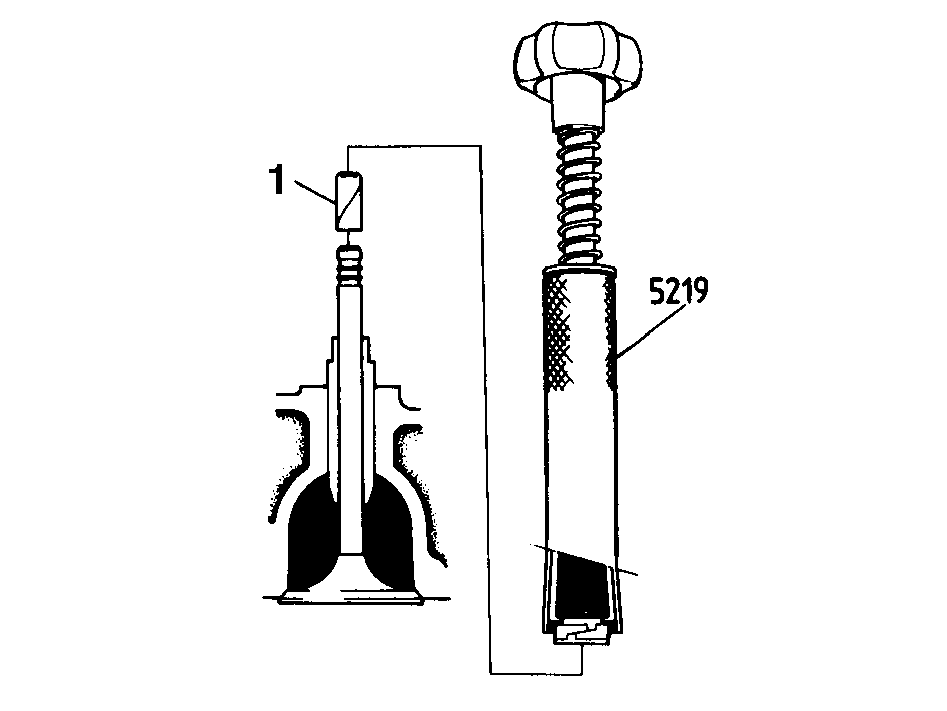 S135568