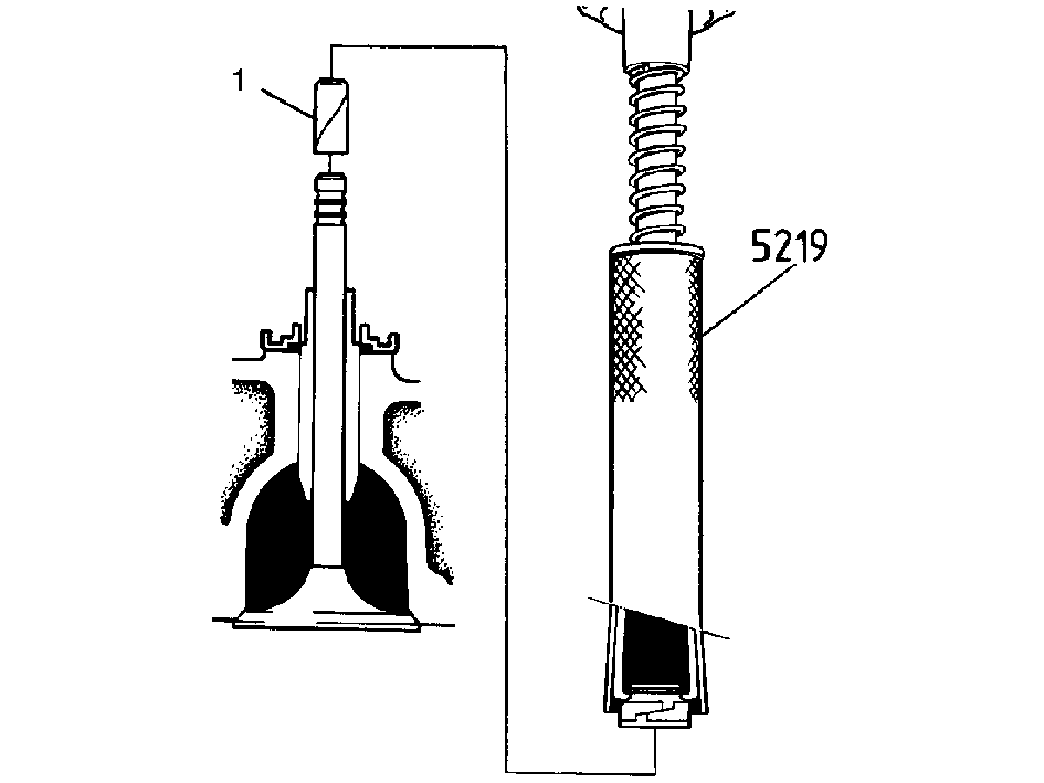 S135569