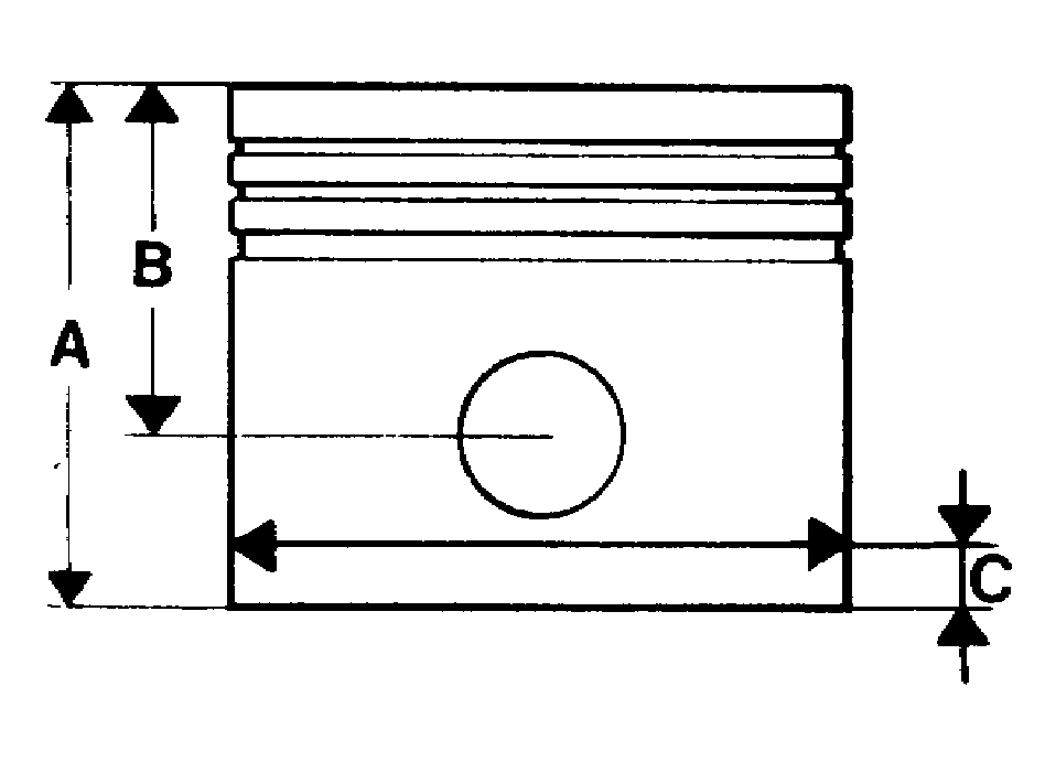 S137551