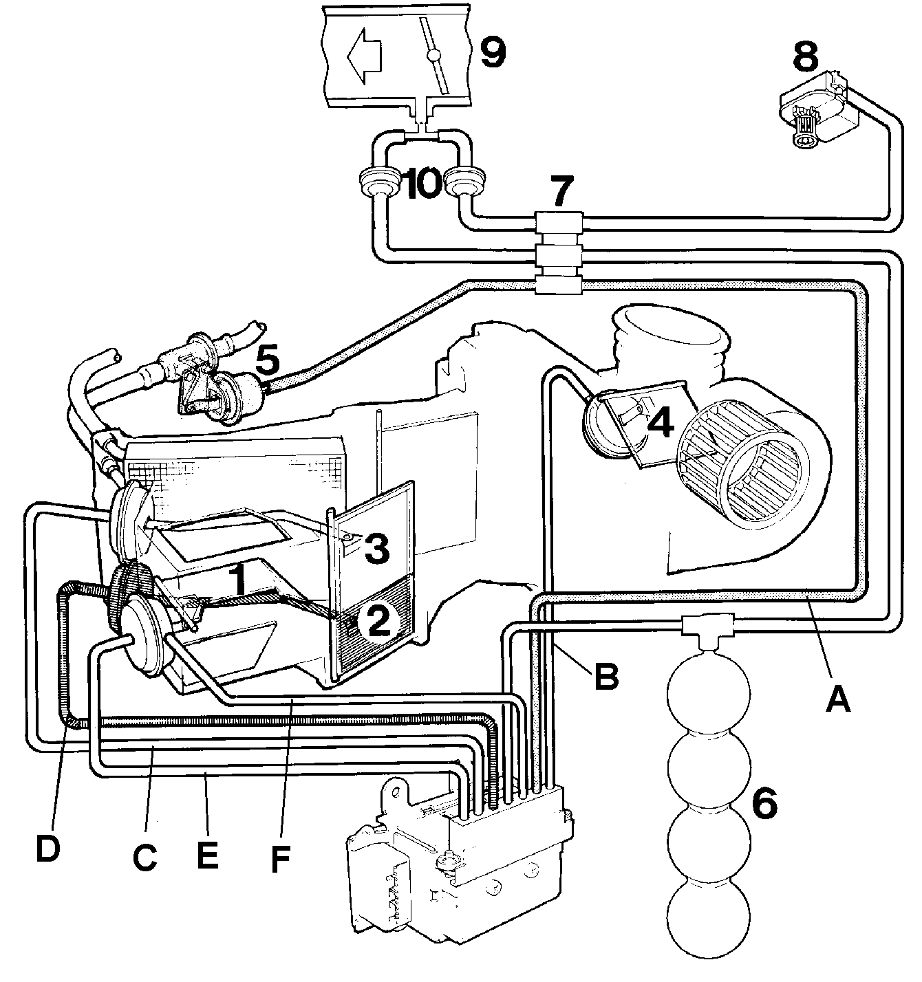 S143654