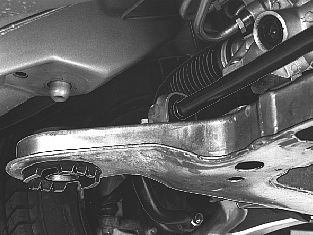 S151381