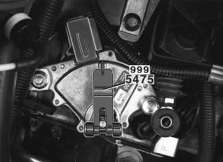 S151613