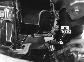 S151619