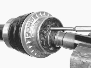 S151806