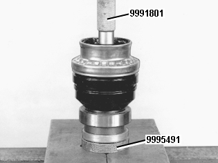 S151810