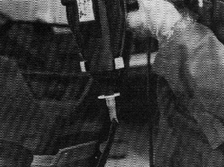 S151869