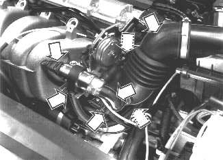 S152406