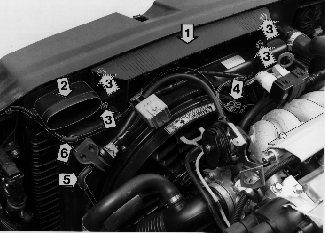 S2100155