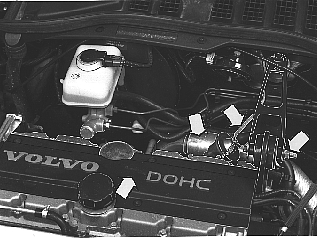 S2500316