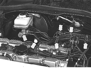 S2500317