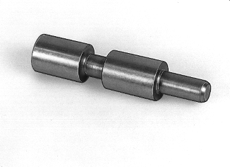 S4300193
