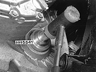 S4301186