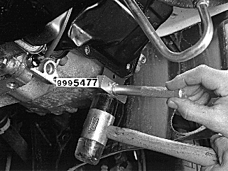S4301194