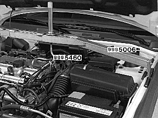 S4301196