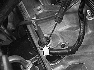 S4301199