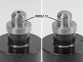 S4302616