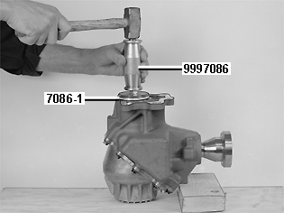 S4303355