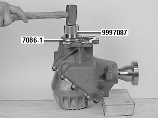 S4303356