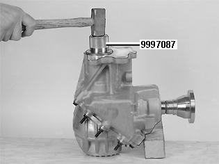 S4303360