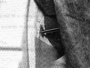 S143918