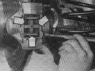 S132219