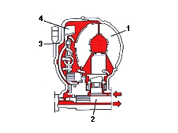 S137434