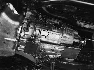 S4300556