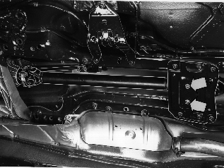 S4300559