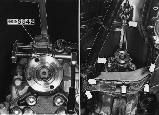 S4300558