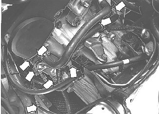 S4300806