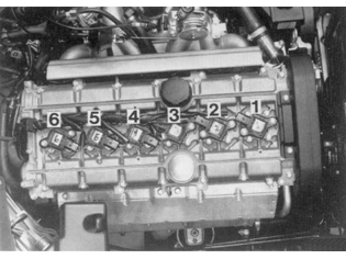 S151035
