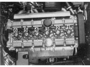 S151036