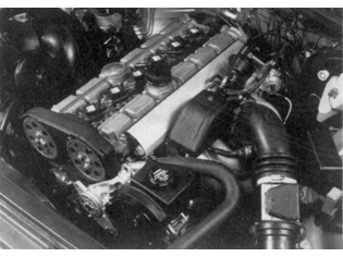 S151037