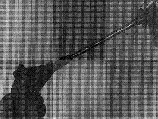 S8000118