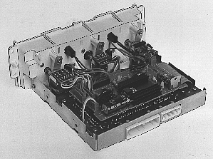 S143545