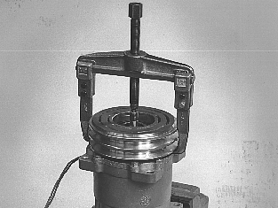 S134919