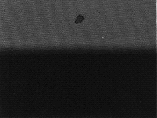 S8100375